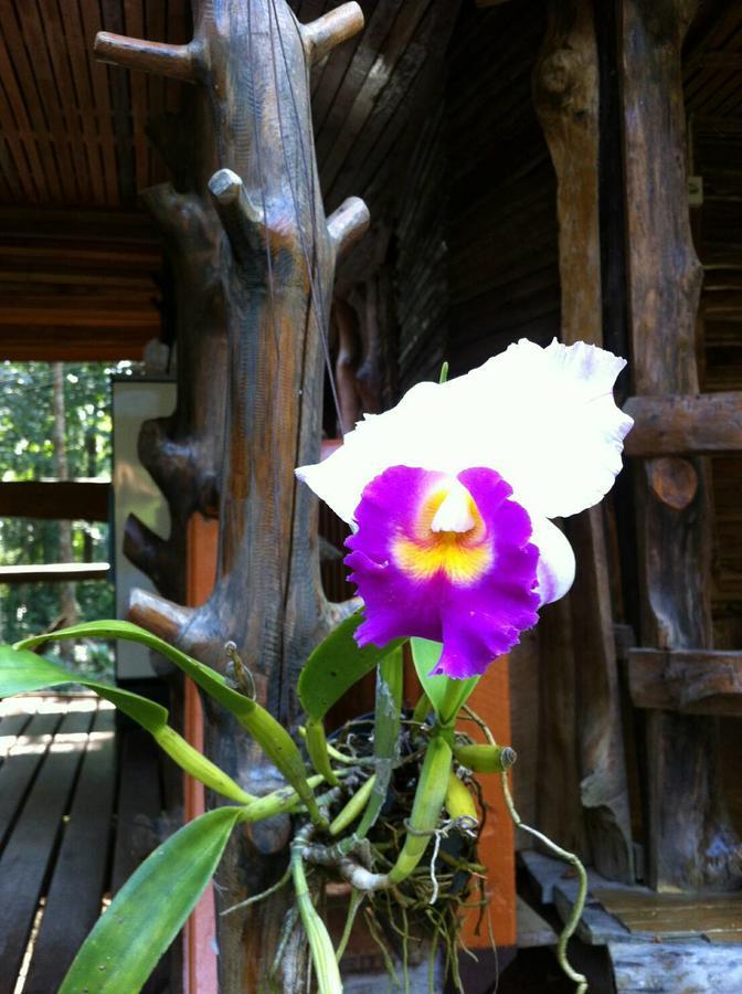 Koh Kood Little Hut Hotel Ko Kut Exterior foto