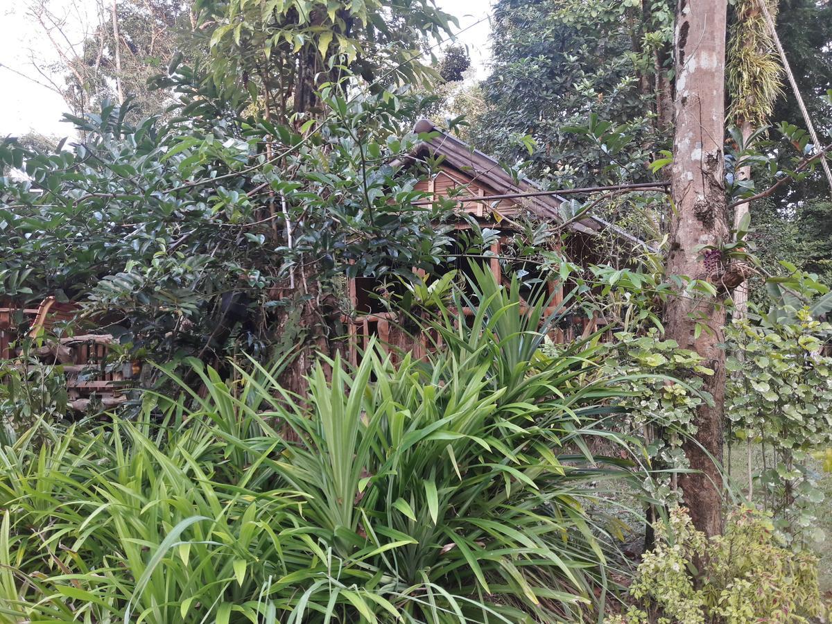 Koh Kood Little Hut Hotel Ko Kut Exterior foto